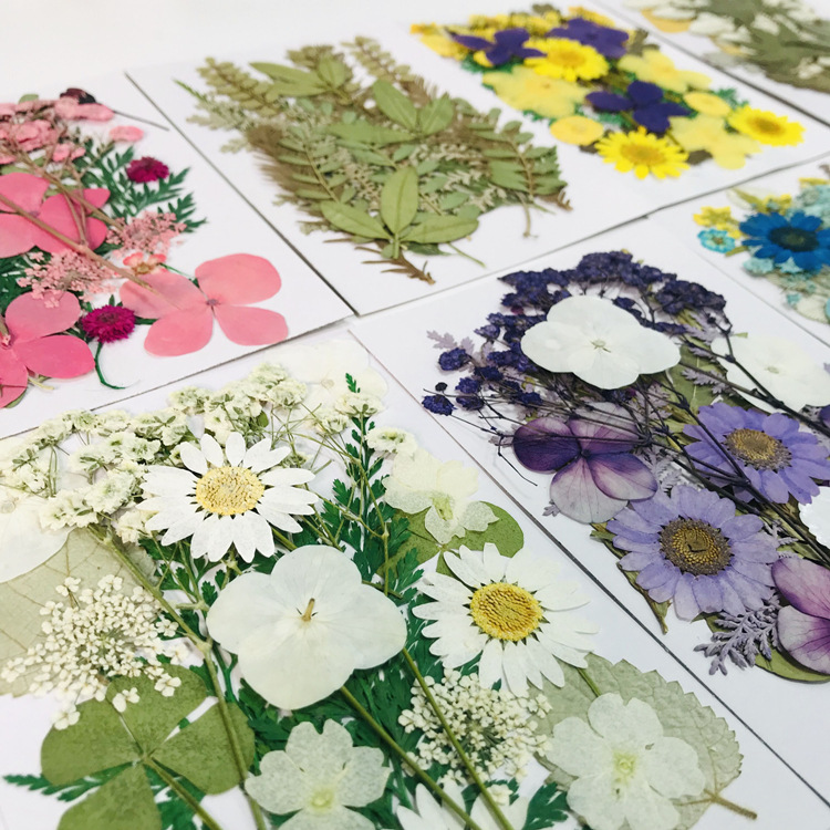 Bulk Dried Flower Decorations for Resin Art Projects and DIY Craft Supplies
