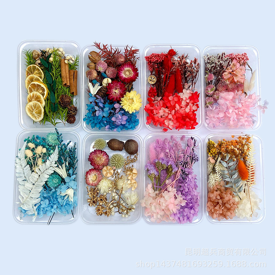 Bulk Natural Dried Flower Materials for Resin Artists and Craft Stores F054