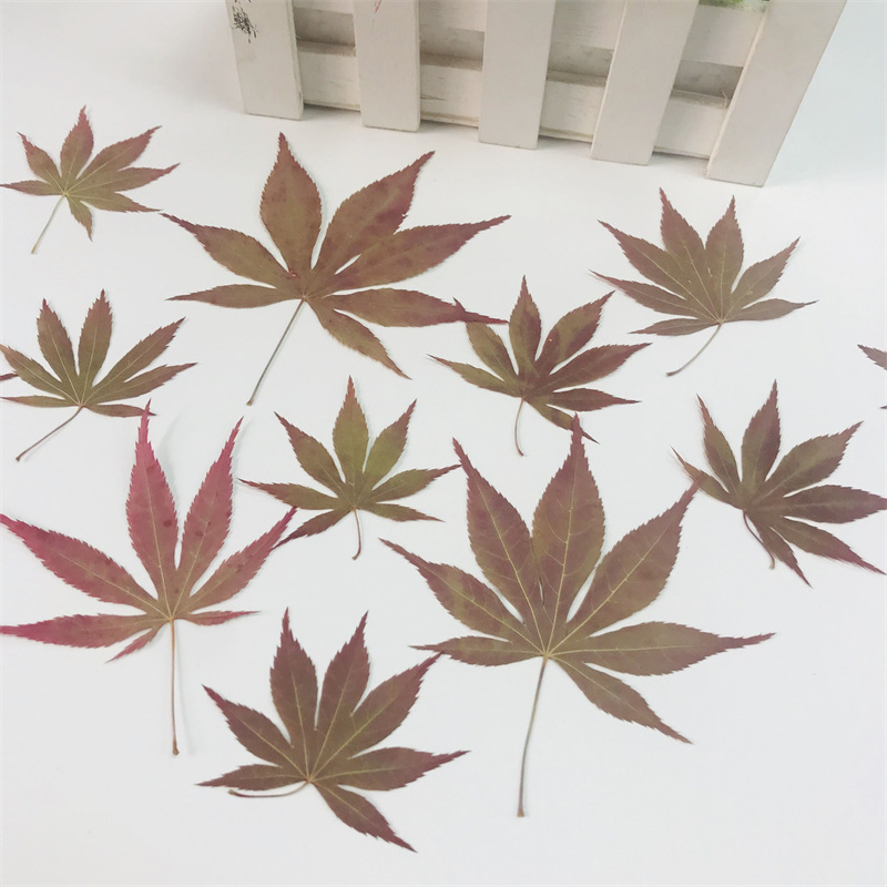 Custom Packaging Dried Flowers for Resin Art Kits and DIY Craft Brands