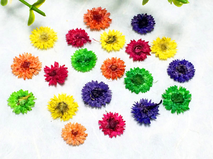 OEM Dried Flowers Supply for Resin Craft Brands and Handmade Product Sellers