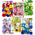 ustom Dried Flower Collection for Resin Art Kits and Craft Supply Wholesale