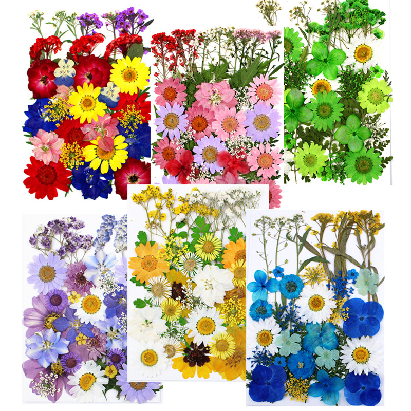 ustom Dried Flower Collection for Resin Art Kits and Craft Supply Wholesale