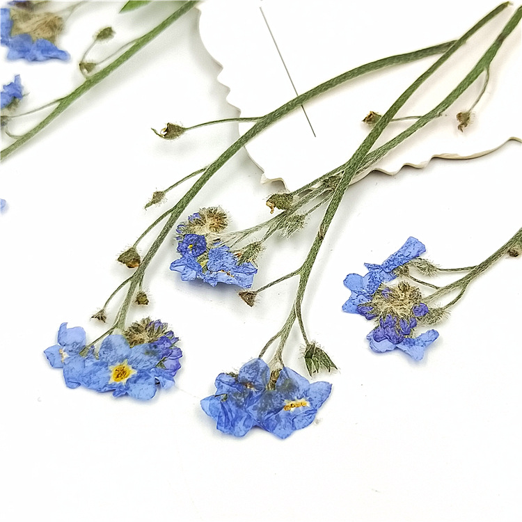 DIY Resin Craft Dried Flowers Set with Custom Colors and Packaging