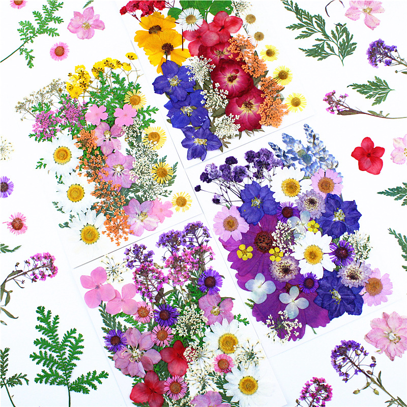 Custom Pressed Flowers for Resin Jewelry, Keychains and Handmade Accessories
