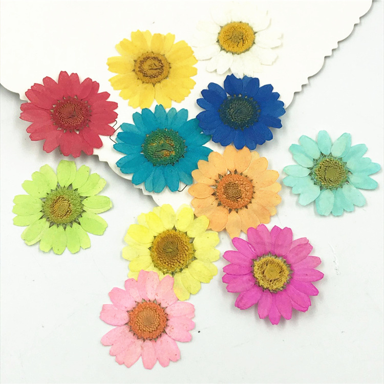 Natural Pressed Dried Flowers for Epoxy Resin Crafts and Handmade Jewelry