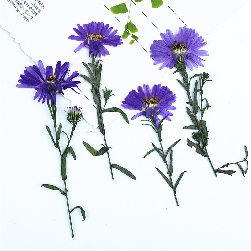 Colorful Natural Dried Flower Mix for Epoxy Resin Art and Handmade Products