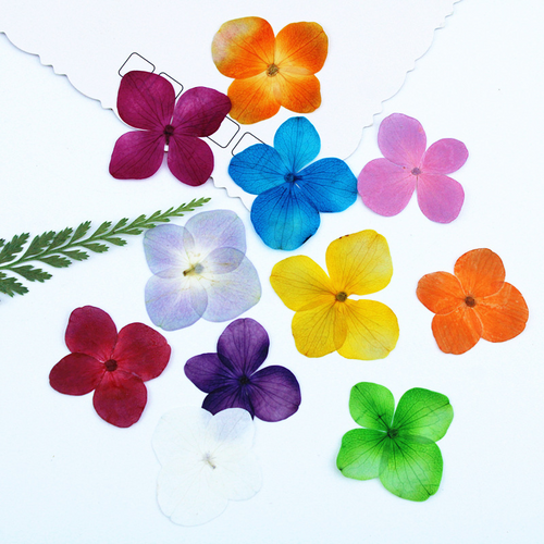 Bulk Natural Flowers for Epoxy Resin Filling and Decorative Craft Supplies