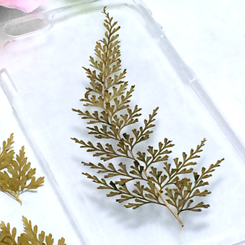 Natural Dried Flower Embellishments for Resin Coasters, Jewelry and DIY Projects