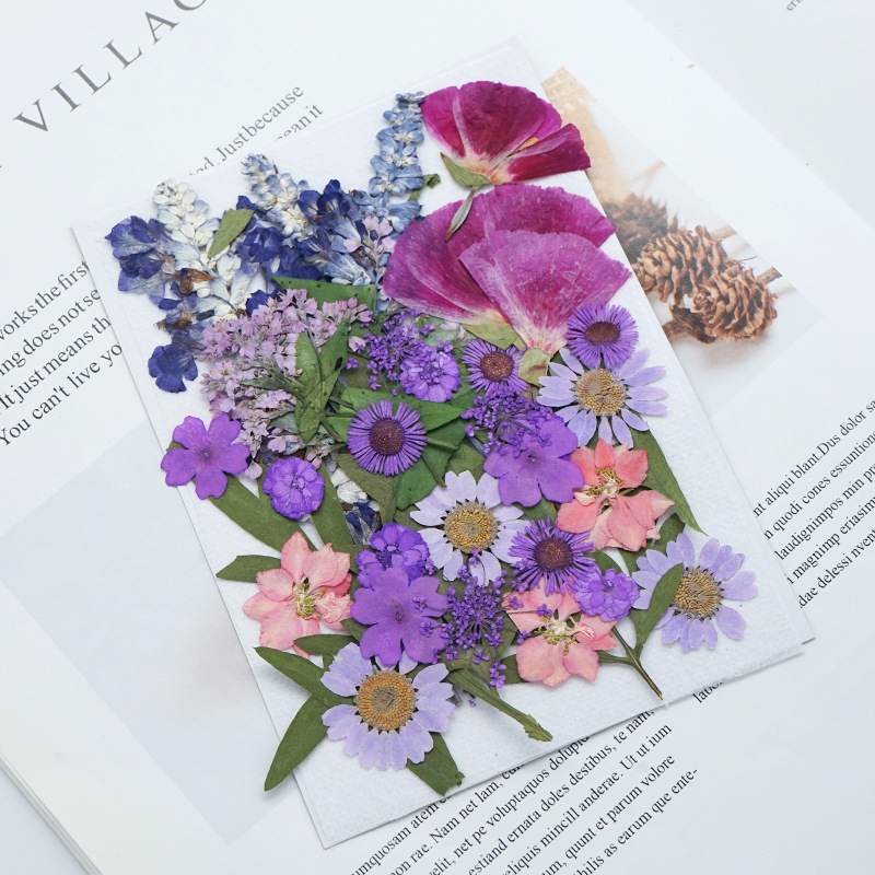 Natural Dried Flowers Collection for Resin Art Decoration Wholesale Supply F047