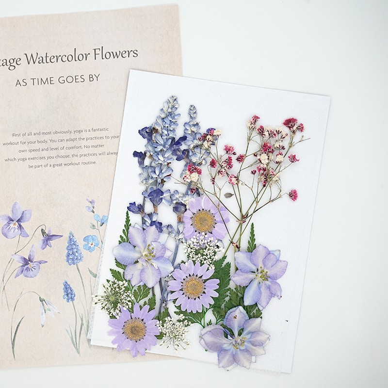 OEM Dried Flower Mix Kit for Resin Art Suppliers and DIY Craft Brands F050