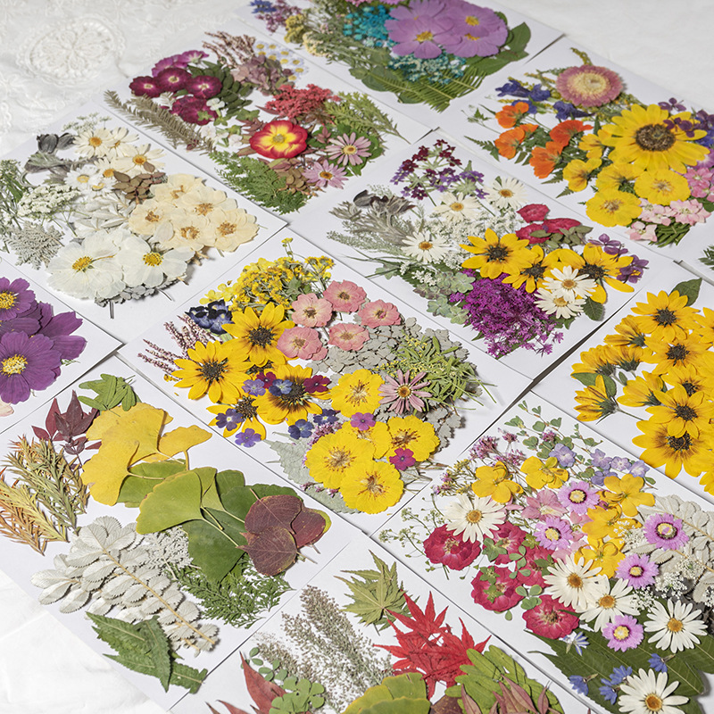 Natural Flower Petals and Pressed Flowers for Resin Casting Projects F051