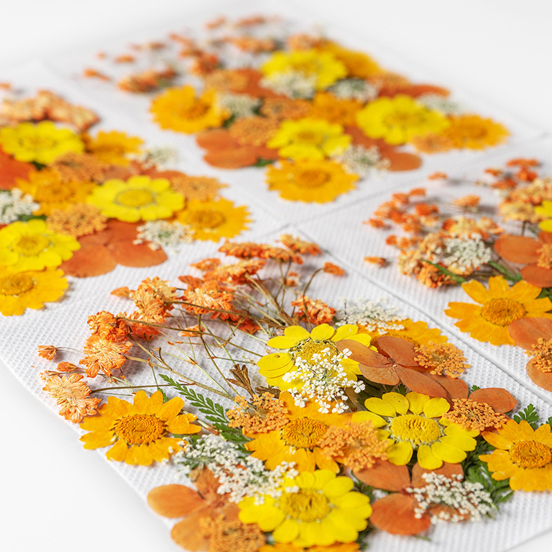 Wholesale Mini Dried Flowers for Resin Coasters, Keychains and Jewelry F052