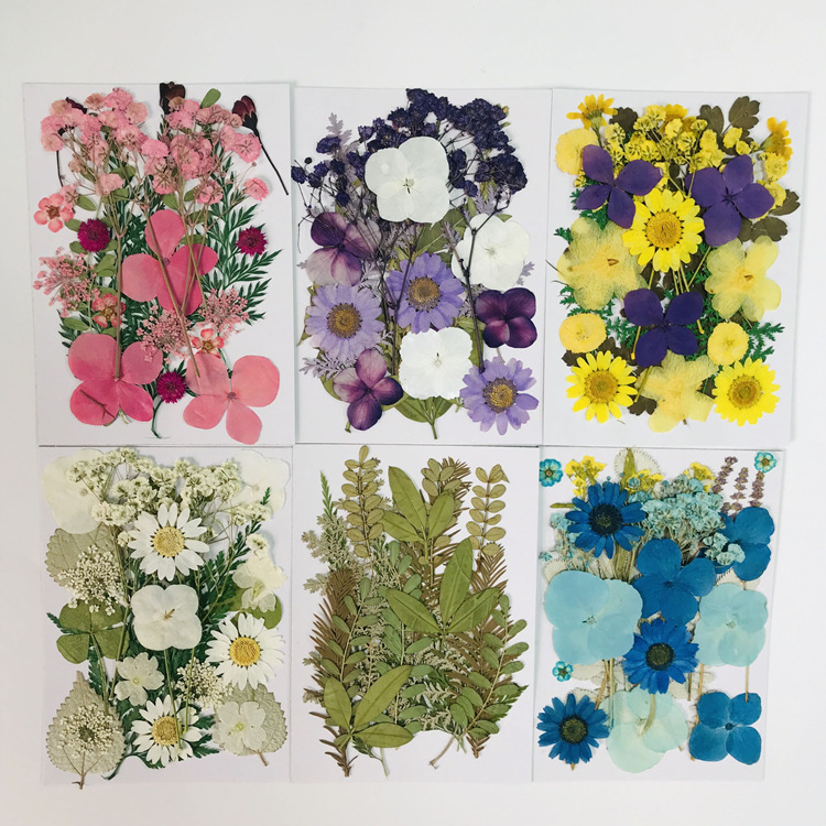 Bulk Dried Flower Decorations for Resin Art Projects and DIY Craft Supplies