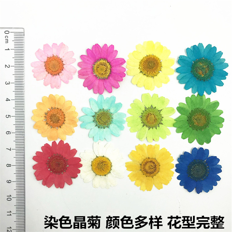 Natural Pressed Dried Flowers for Epoxy Resin Crafts and Handmade Jewelry