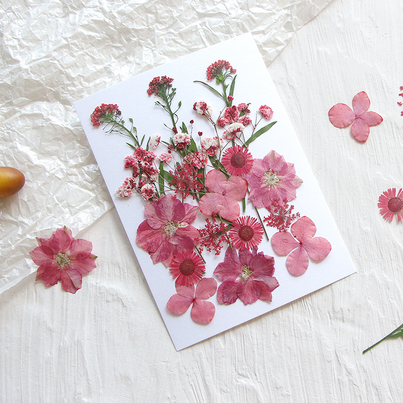 OEM Dried Flower Mix Kit for Resin Art Suppliers and DIY Craft Brands F050