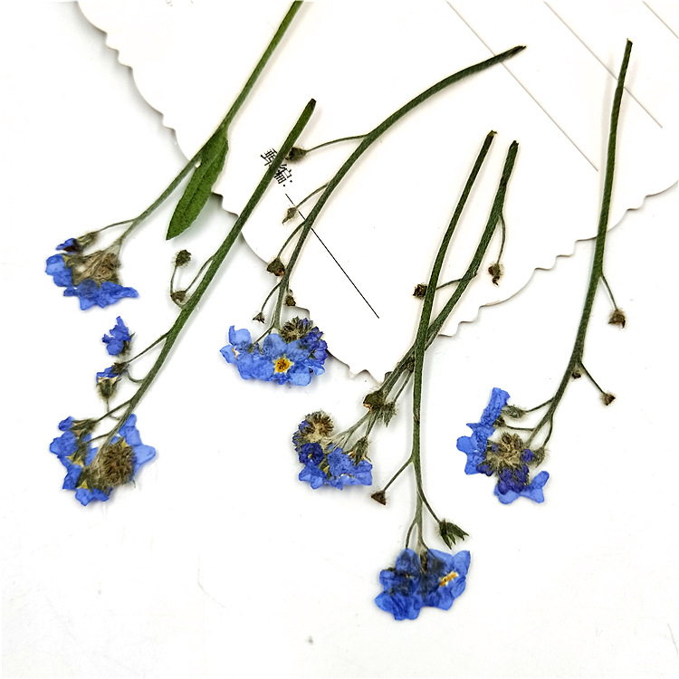 DIY Resin Craft Dried Flowers Set with Custom Colors and Packaging