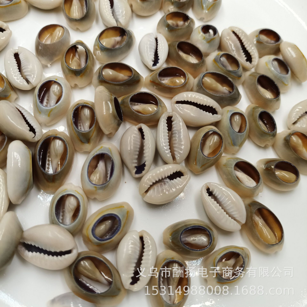 .Ocean Style Shell Decorations for Epoxy Resin Coasters and Jewelry Crafts
