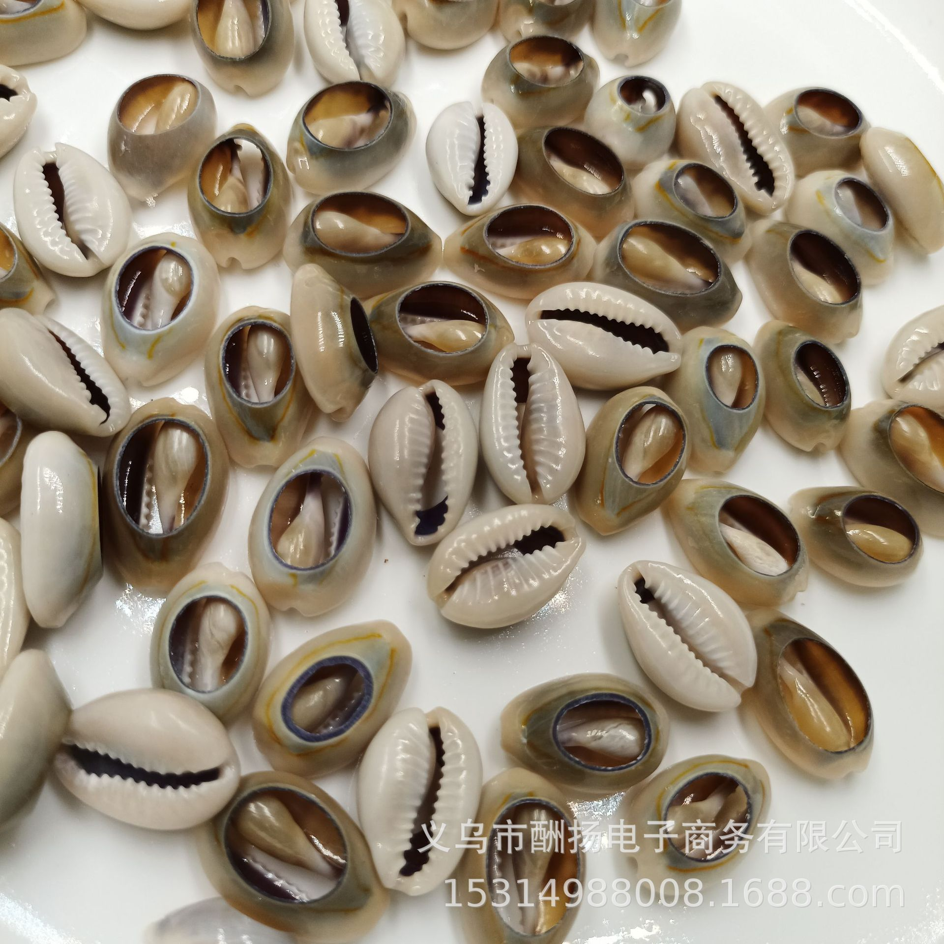 .Ocean Style Shell Decorations for Epoxy Resin Coasters and Jewelry Crafts