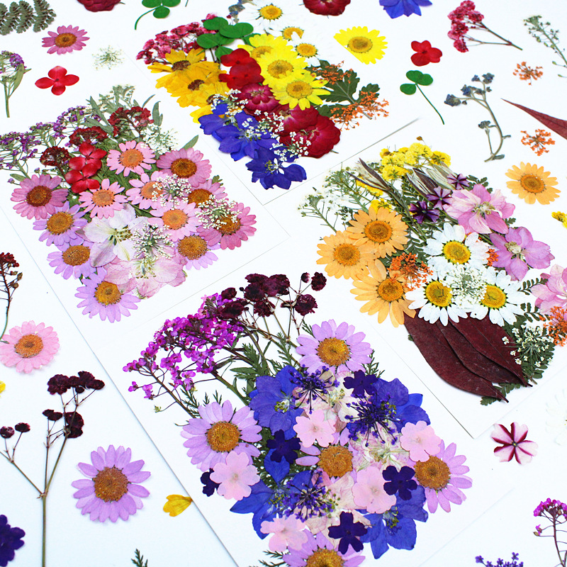 Bulk Dried Flower Supply for DIY Kit Brands and Resin Craft Businesses