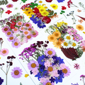 Bulk Dried Flower Supply for DIY Kit Brands and Resin Craft Businesses