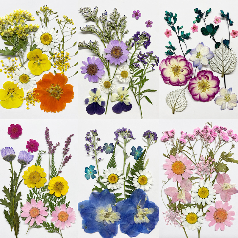 Pressed Flower Material Set for Resin Jewelry, Pendants and Keychains
