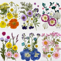 Pressed Flower Material Set for Resin Jewelry, Pendants and Keychains