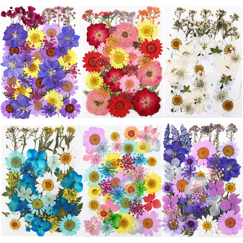 Wholesale Dried Flowers for Resin Art, Jewelry Making and DIY Crafts | OEM Supplier