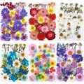 Wholesale Dried Flowers for Resin Art, Jewelry Making and DIY Crafts | OEM Supplier