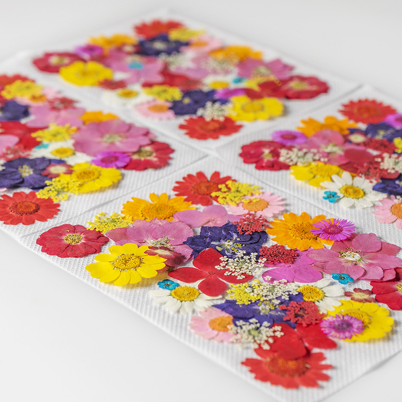 Wholesale Mini Dried Flowers for Resin Coasters, Keychains and Jewelry F052