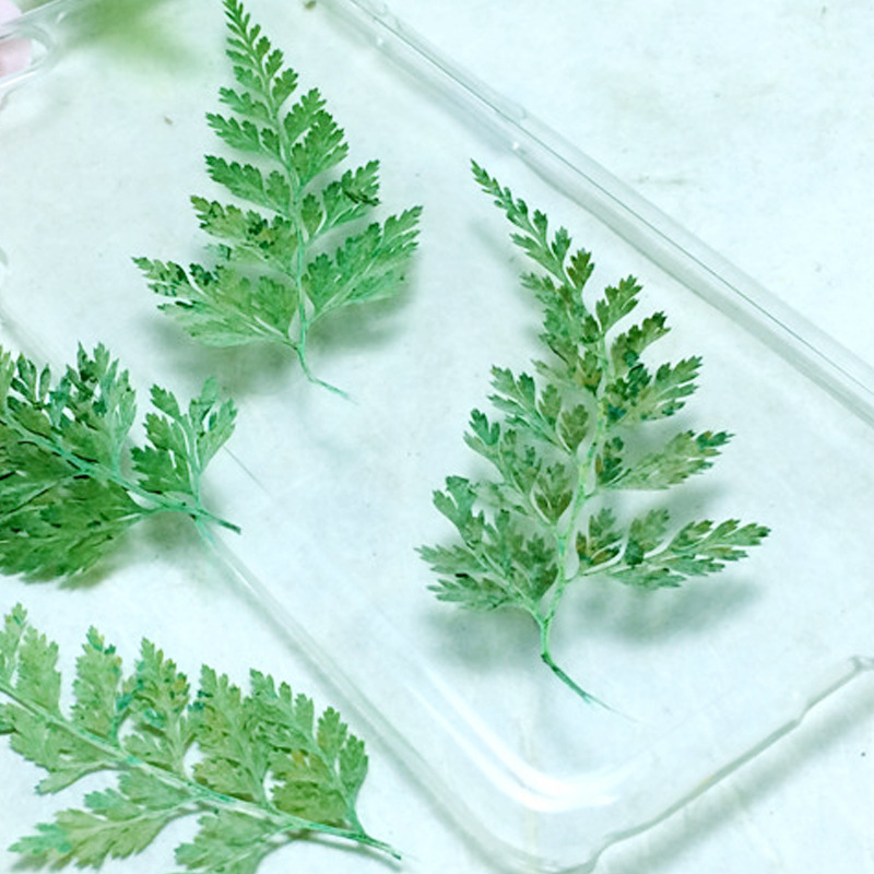 Natural Dried Flower Embellishments for Resin Coasters, Jewelry and DIY Projects