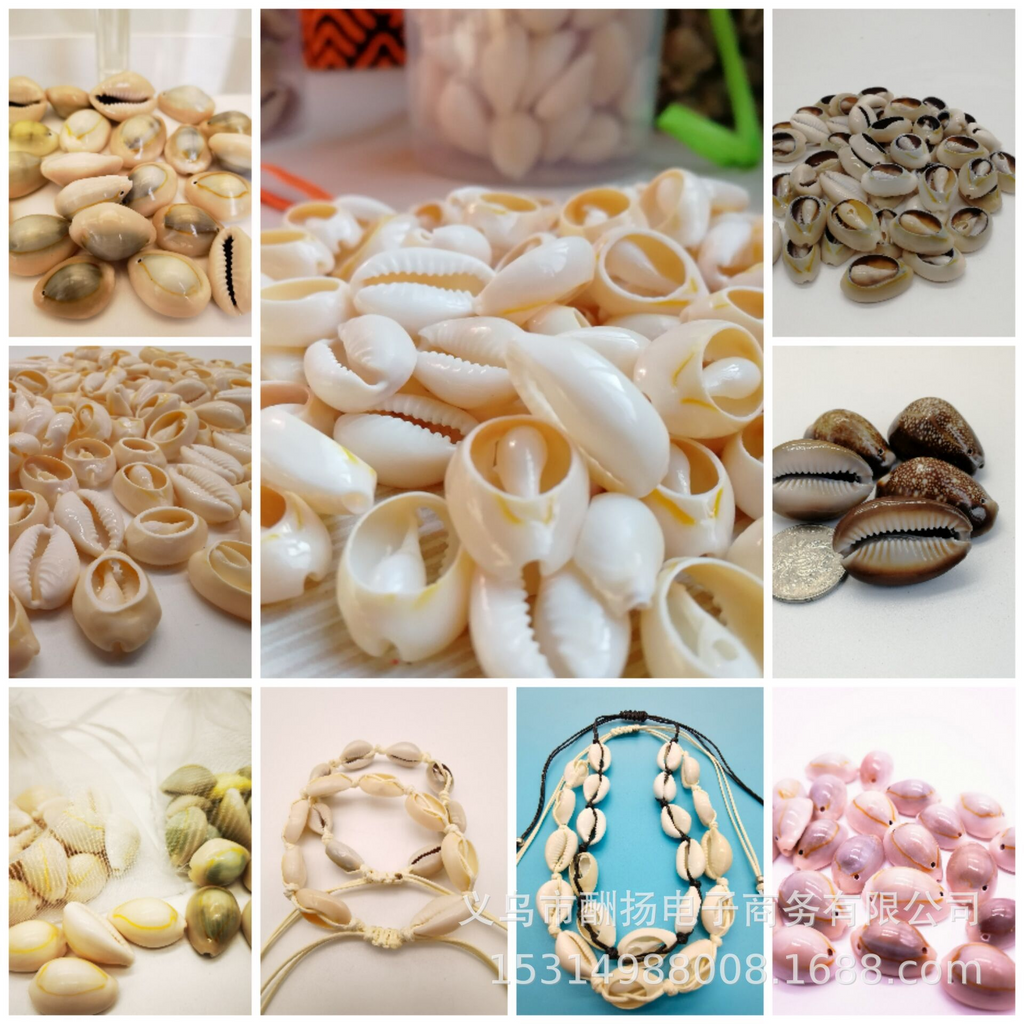 .Ocean Style Shell Decorations for Epoxy Resin Coasters and Jewelry Crafts
