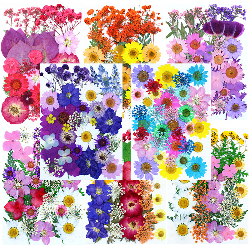 Custom Pressed Flowers for Resin Jewelry, Keychains and Handmade Accessories