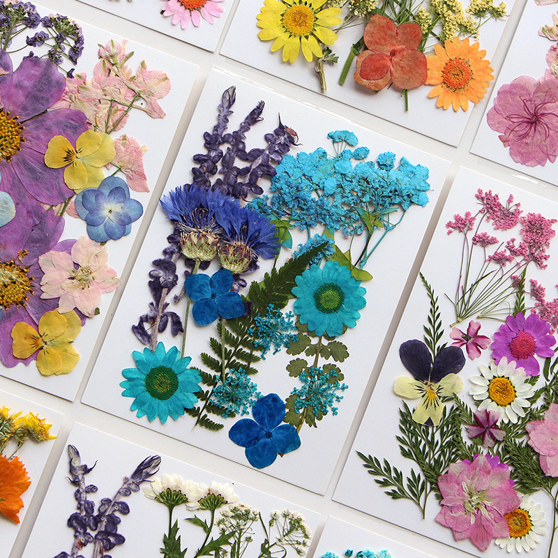 Wholesale Colorful Dried Flower Set for Epoxy Resin Craft Materials F048
