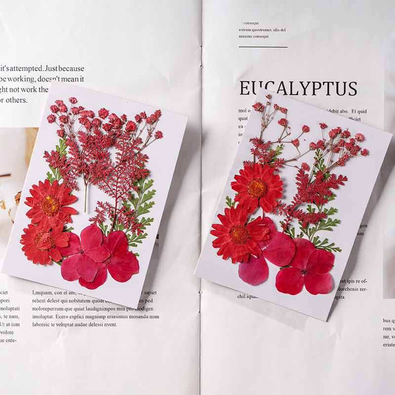 Premium Pressed Botanical Flowers for Resin Jewelry and Handmade Crafts F049