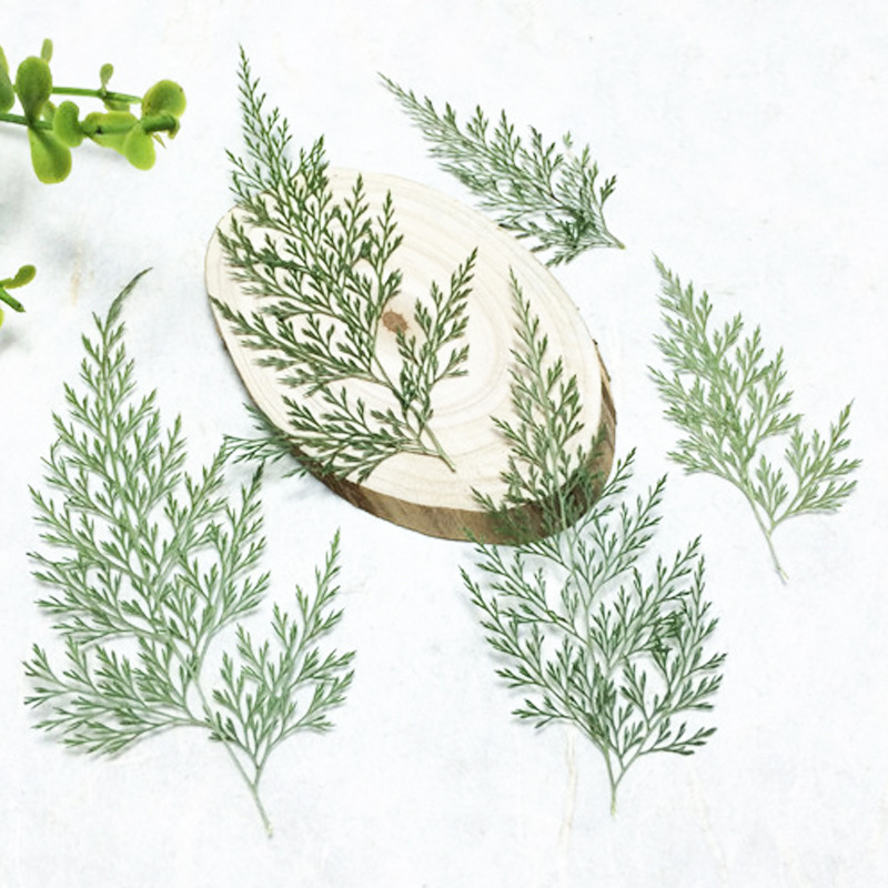 Natural Dried Flower Embellishments for Resin Coasters, Jewelry and DIY Projects