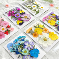 Custom Color Dried Flowers for Resin Craft Supplies and Private Label Brands