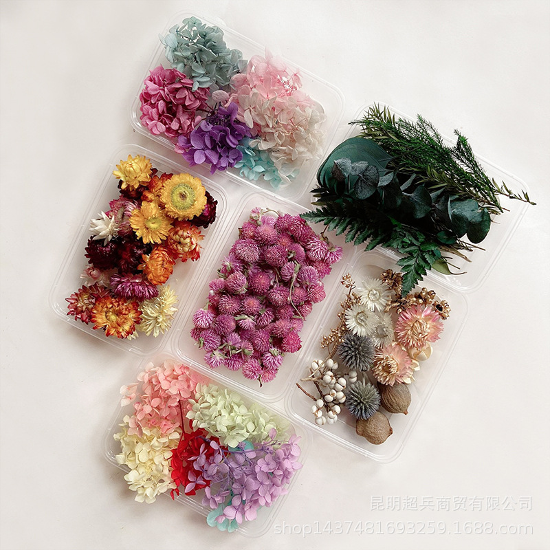 Bulk Natural Dried Flower Materials for Resin Artists and Craft Stores F054