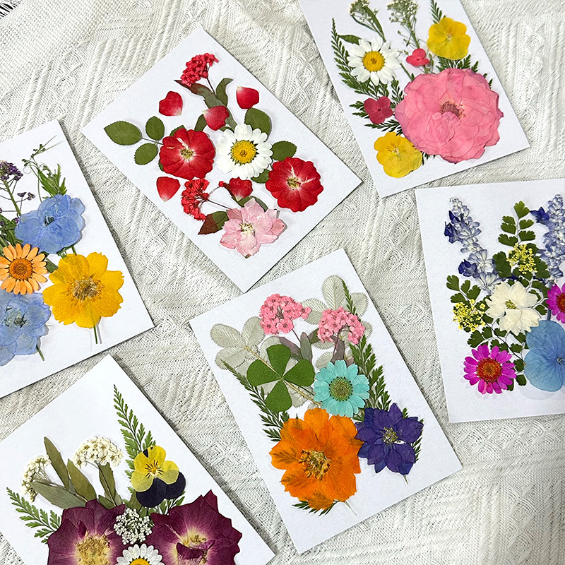 Wholesale Natural Pressed Dried Flowers for Resin Art and DIY Crafts F044