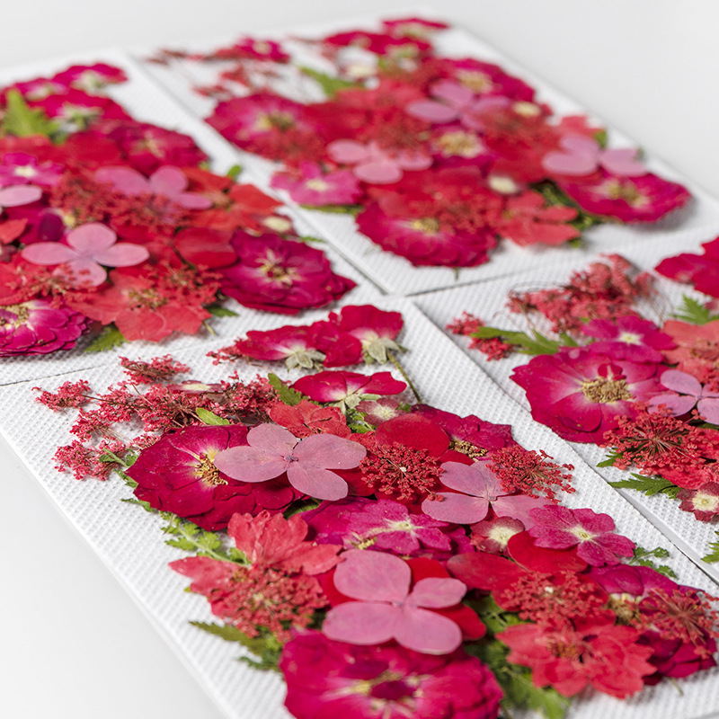 Wholesale Mini Dried Flowers for Resin Coasters, Keychains and Jewelry F052
