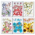 OEM Dried Flower Mix Kit for Resin Art Suppliers and DIY Craft Brands F050