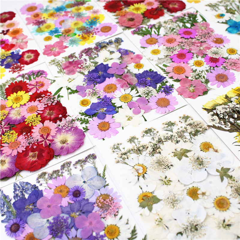 Wholesale Dried Flowers for Resin Art, Jewelry Making and DIY Crafts | OEM Supplier
