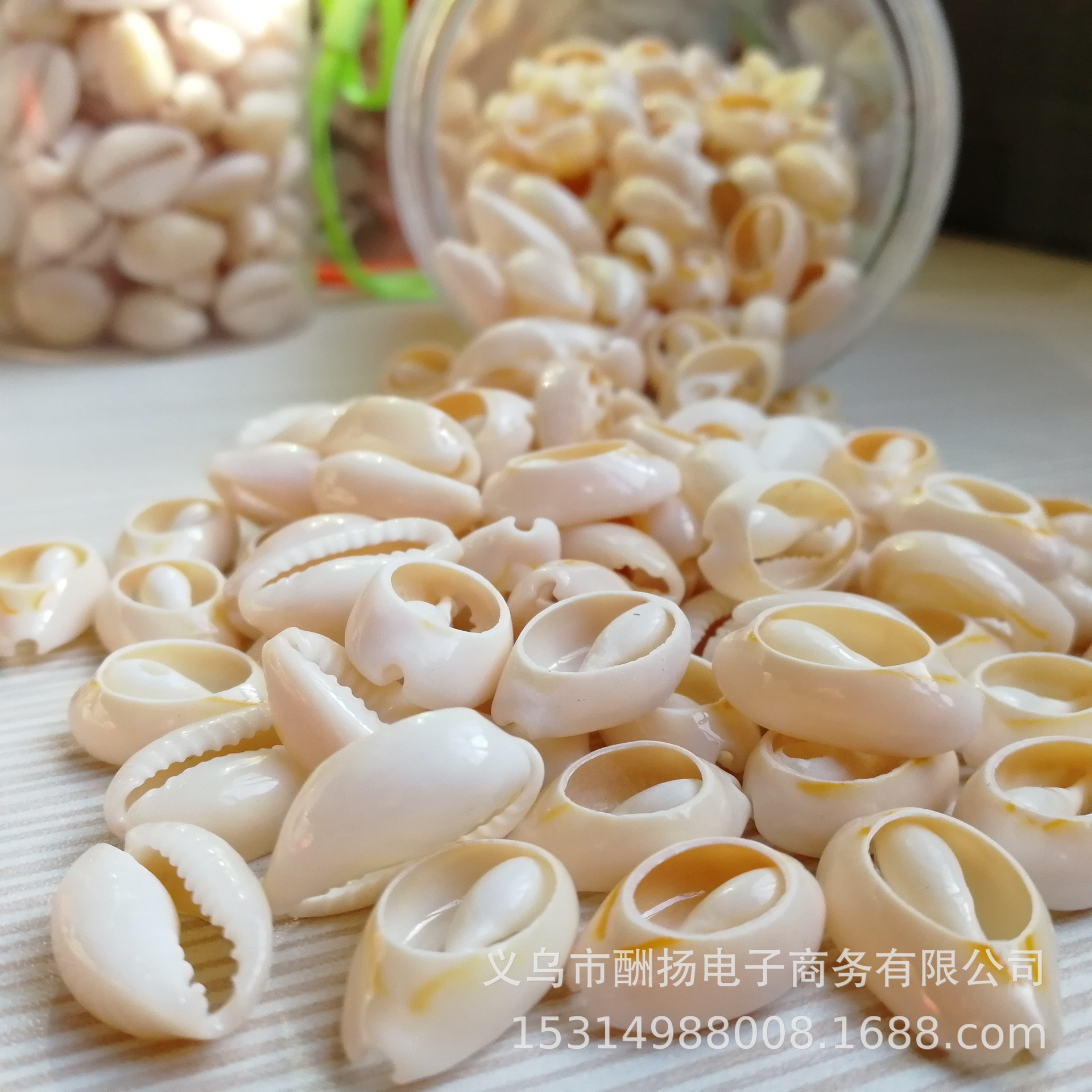 .Ocean Style Shell Decorations for Epoxy Resin Coasters and Jewelry Crafts
