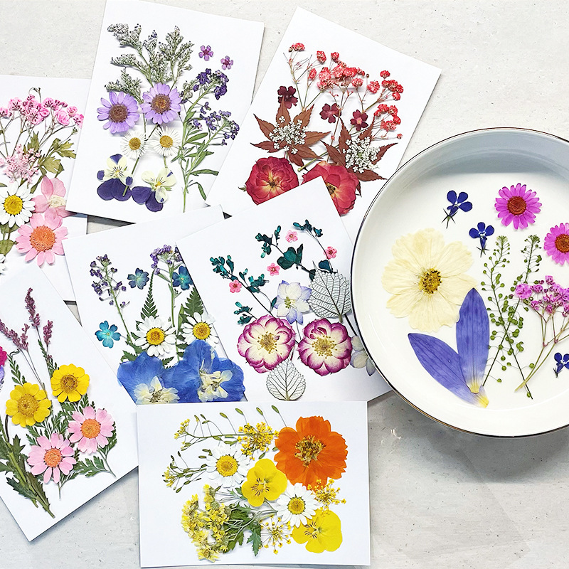 Pressed Flower Material Set for Resin Jewelry, Pendants and Keychains