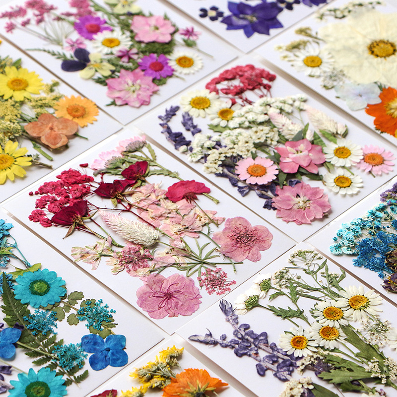 Wholesale Colorful Dried Flower Set for Epoxy Resin Craft Materials F048