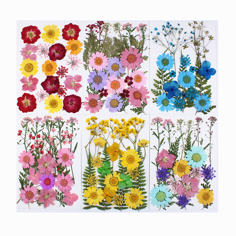 Factory Wholesale Pressed Flowers for Resin Jewelry Making Supplies