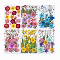 Factory Wholesale Pressed Flowers for Resin Jewelry Making Supplies