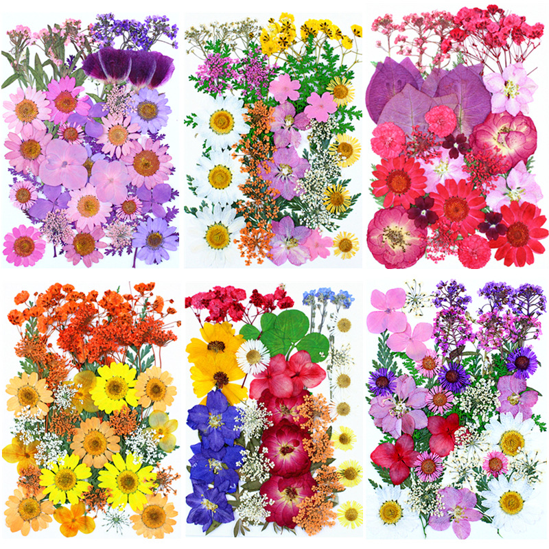 Custom Pressed Flowers for Resin Jewelry, Keychains and Handmade Accessories