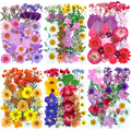 Custom Pressed Flowers for Resin Jewelry, Keychains and Handmade Accessories