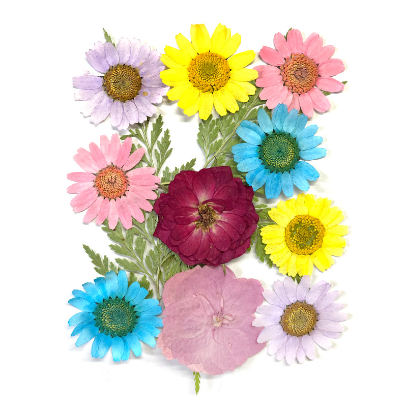 Bulk Dried Flower Petals for Epoxy Resin Projects and DIY Handmade Crafts
