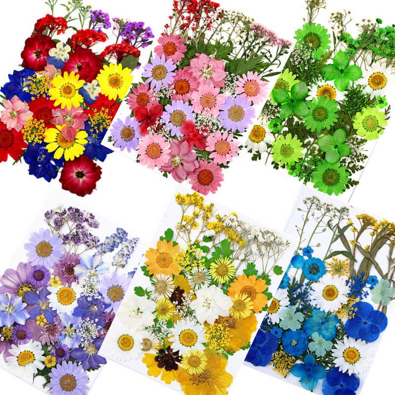 ustom Dried Flower Collection for Resin Art Kits and Craft Supply Wholesale